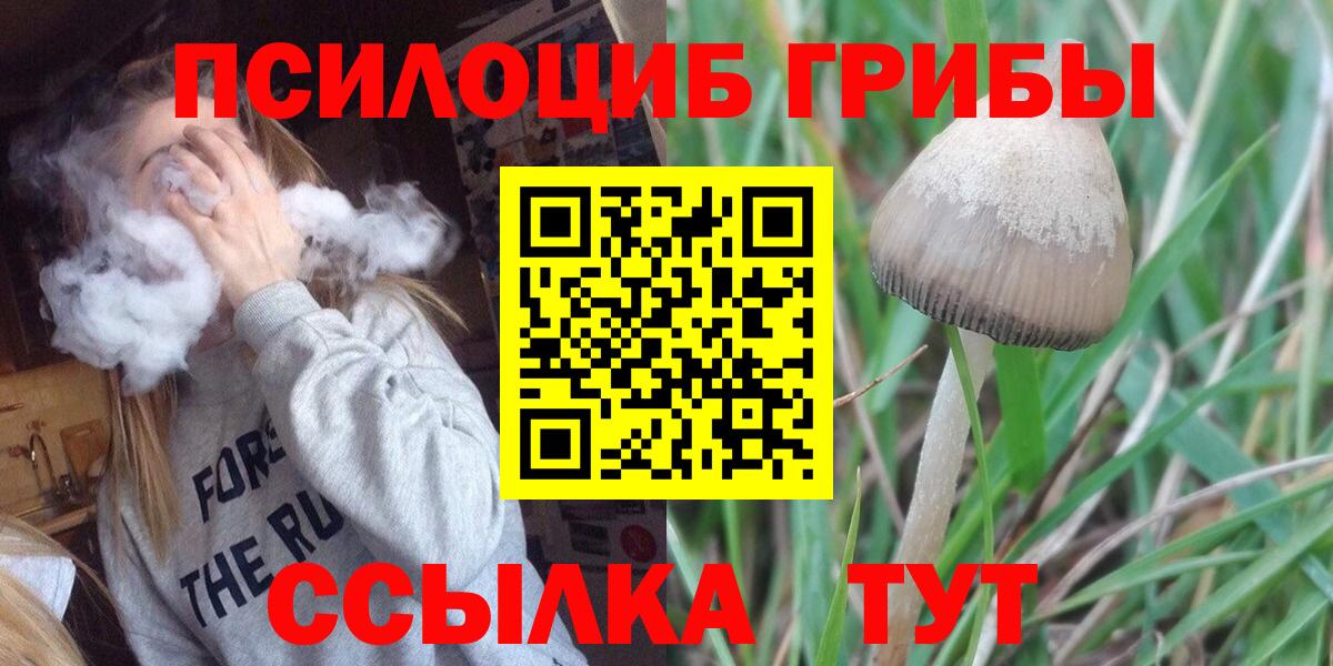 Саратов  Галлюциногенные грибы Magic Shrooms  Вход с VPN 